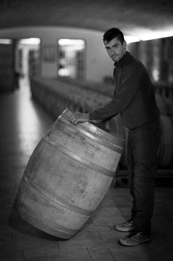 Il Roncal Wine Resort - For Wine Lovers 시비달레델프리울리 외부 사진