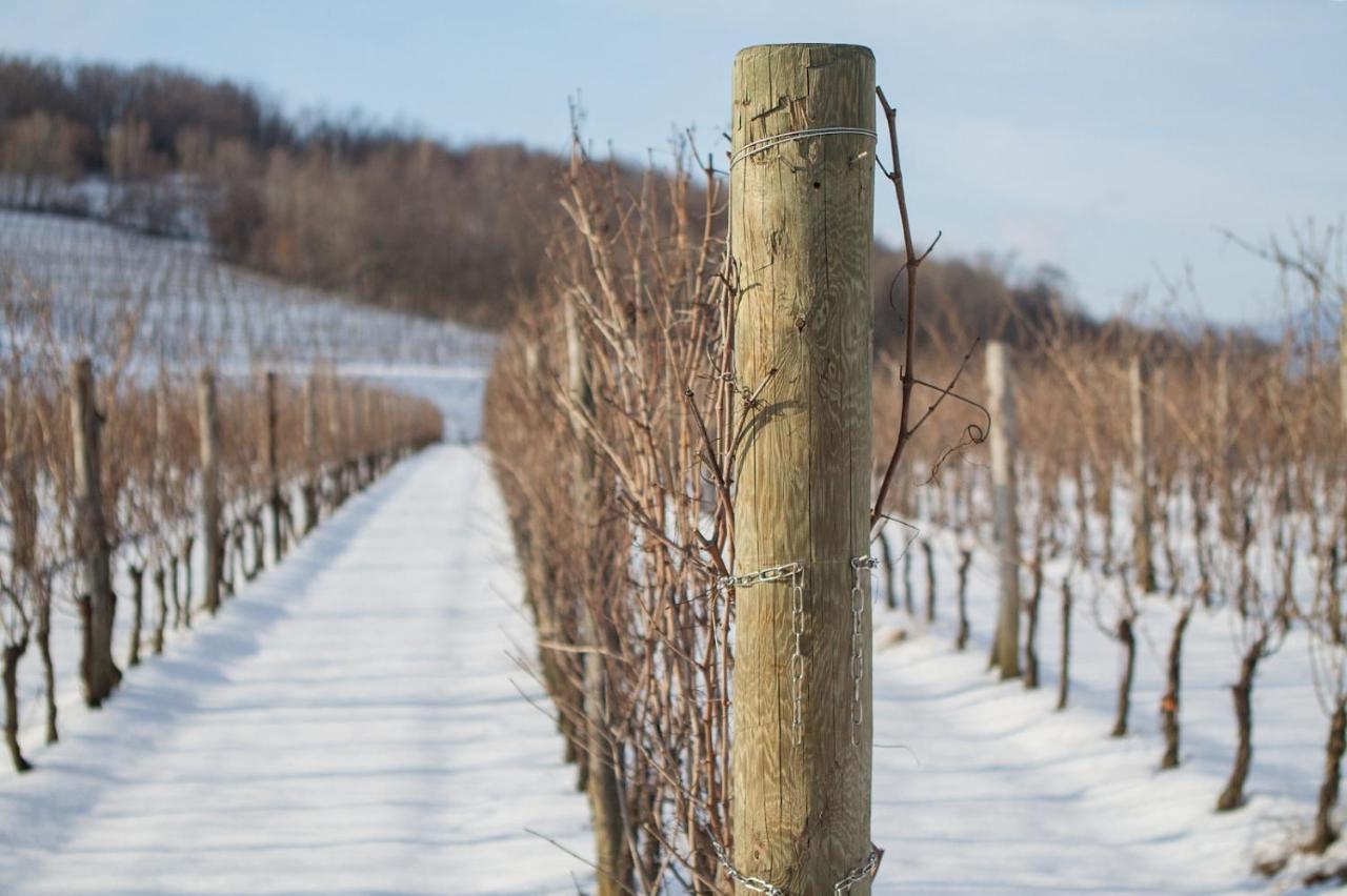Il Roncal Wine Resort - For Wine Lovers 시비달레델프리울리 외부 사진