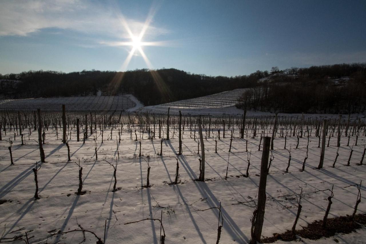 Il Roncal Wine Resort - For Wine Lovers 시비달레델프리울리 외부 사진
