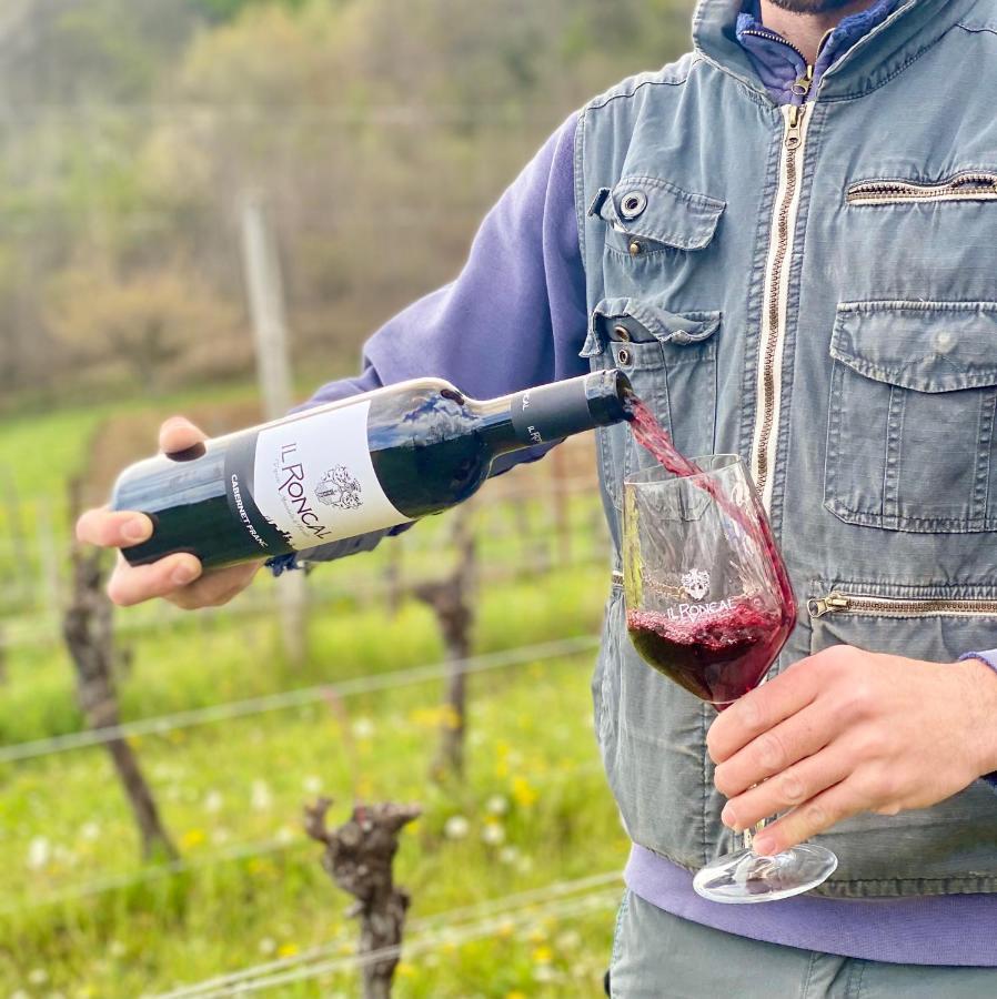 Il Roncal Wine Resort - For Wine Lovers 시비달레델프리울리 외부 사진