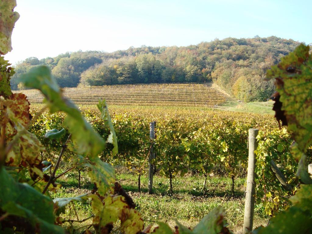 Il Roncal Wine Resort - For Wine Lovers 시비달레델프리울리 외부 사진