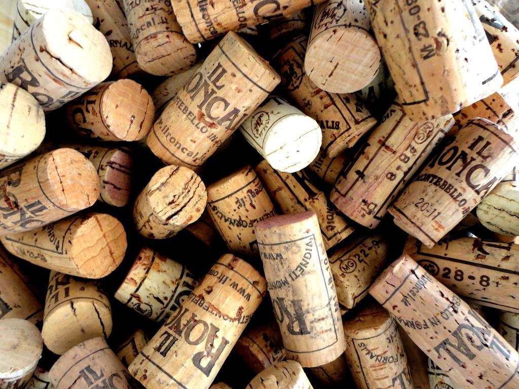 Il Roncal Wine Resort - For Wine Lovers 시비달레델프리울리 외부 사진