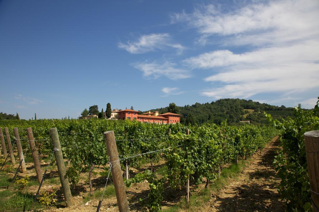 Il Roncal Wine Resort - For Wine Lovers 시비달레델프리울리 외부 사진