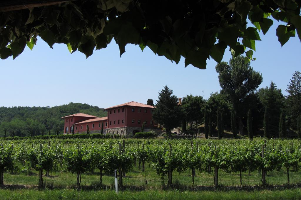 Il Roncal Wine Resort - For Wine Lovers 시비달레델프리울리 외부 사진