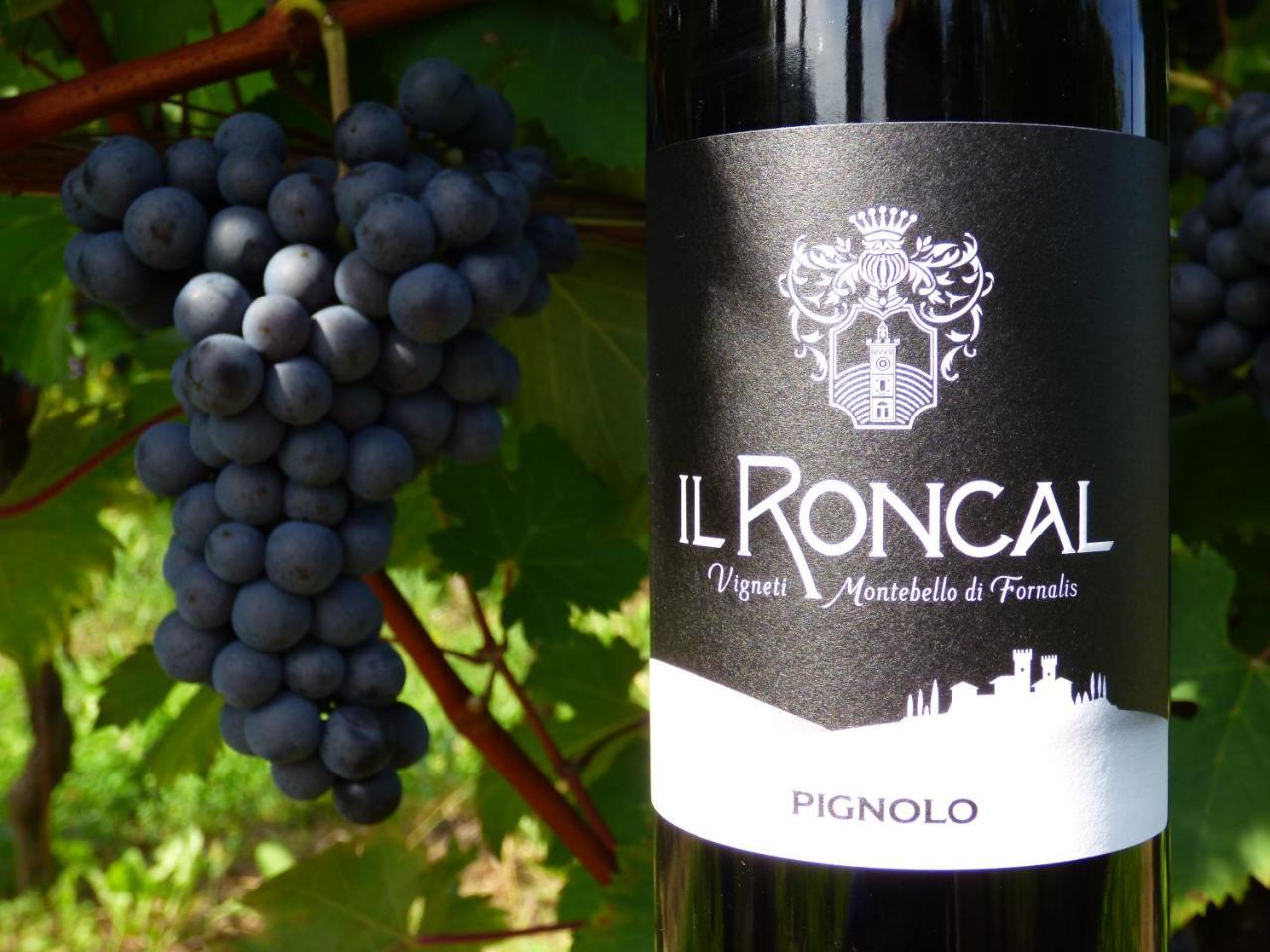 Il Roncal Wine Resort - For Wine Lovers 시비달레델프리울리 외부 사진